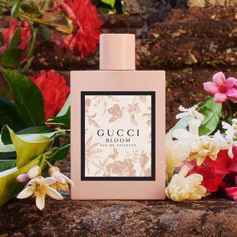 gucci bloom fragrantica.